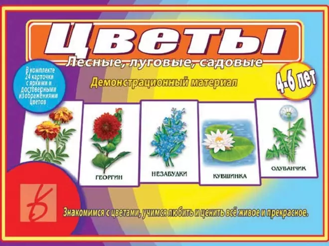 Цветы. Лесные, луговые, садовые. 4-6 лет. Демонстрационный материал