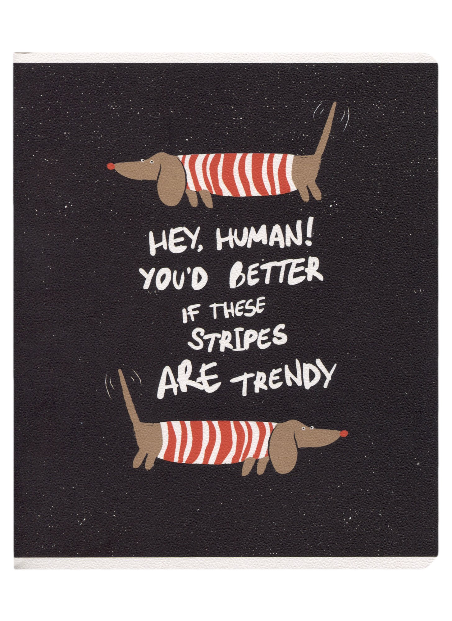 

Тетрадь в клетку Be Smart, "Hey human. Таксы", 48 листов