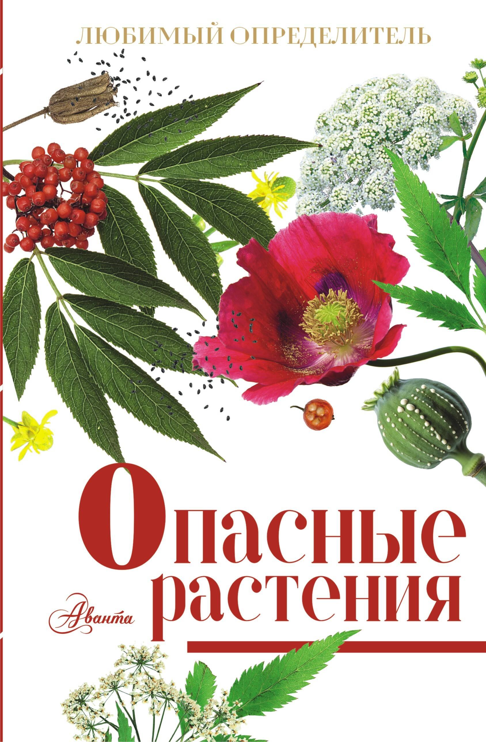 Опасные растения 299₽