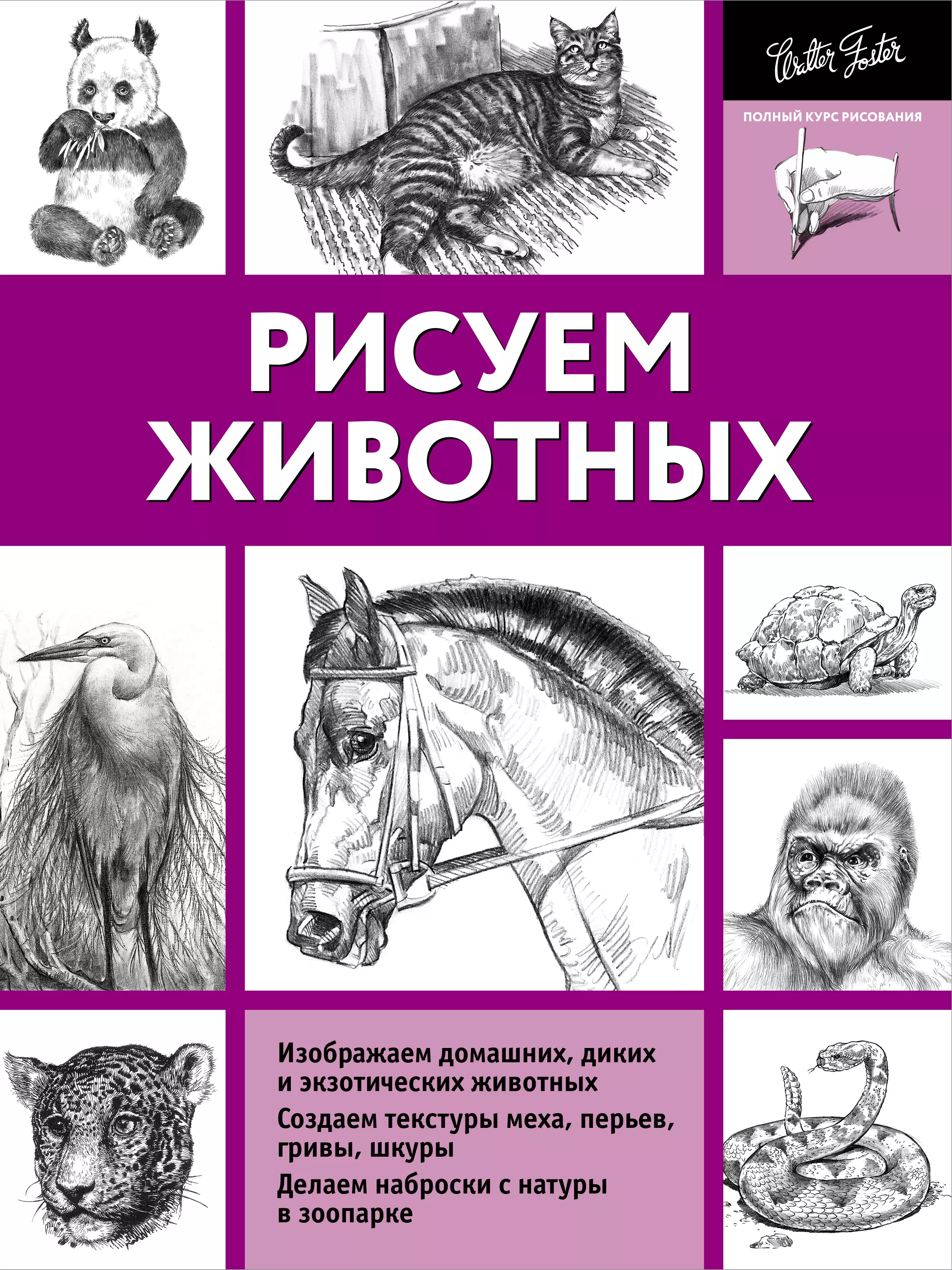 Как пользоваться Midjourney: формулировать запросы в «Дискорде», генерировать картинки