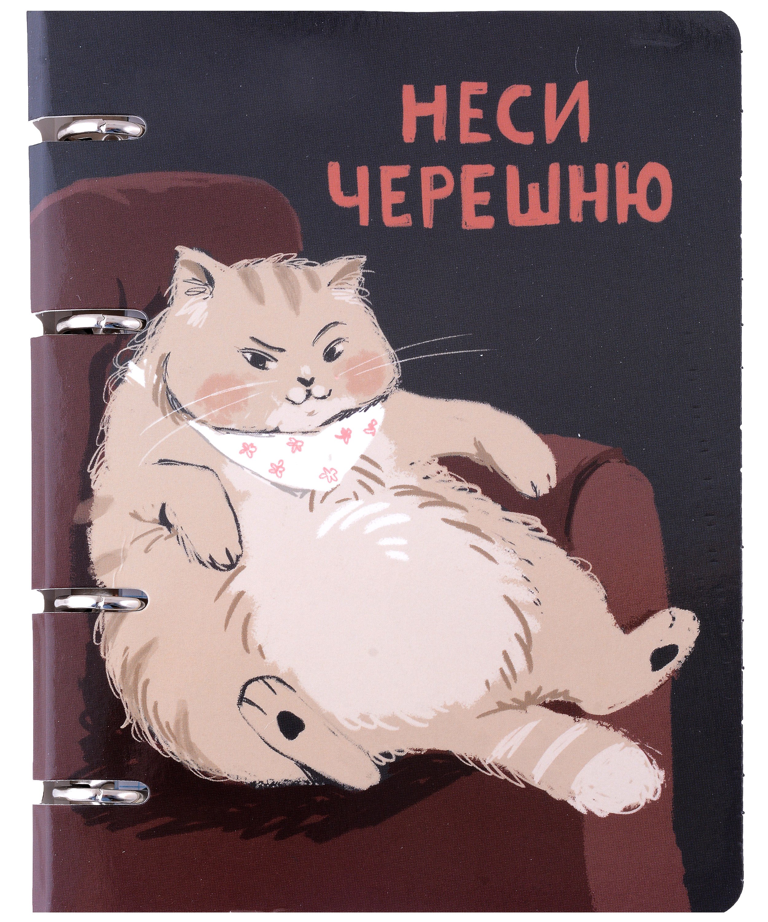 

Тетрадь 80л "Пушистые друзья (Эксклюзив)" на кольцах, мел.картон, глянц.ламинация, квадр.корешок, скругл.углы