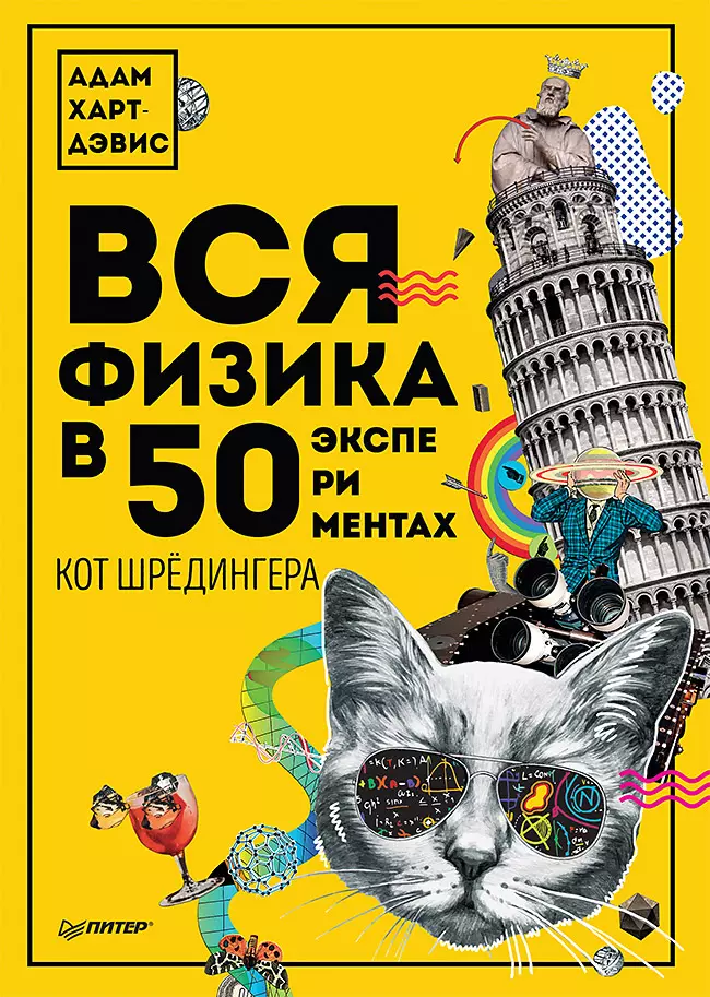 Вся физика в 50 экспериментах. Кот Шрёдингера