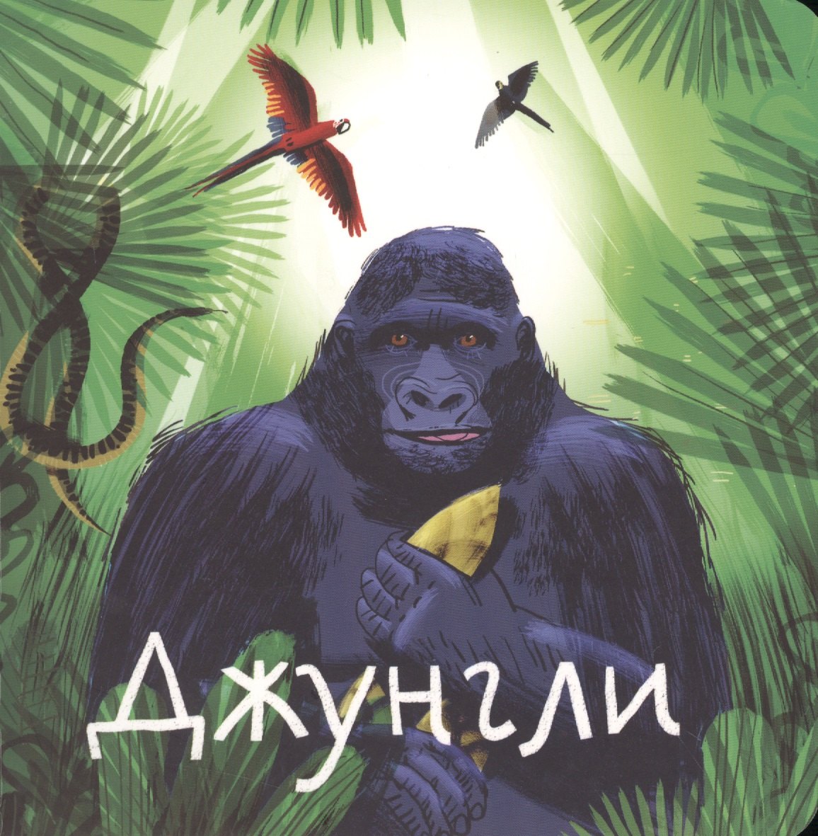 

Джунгли