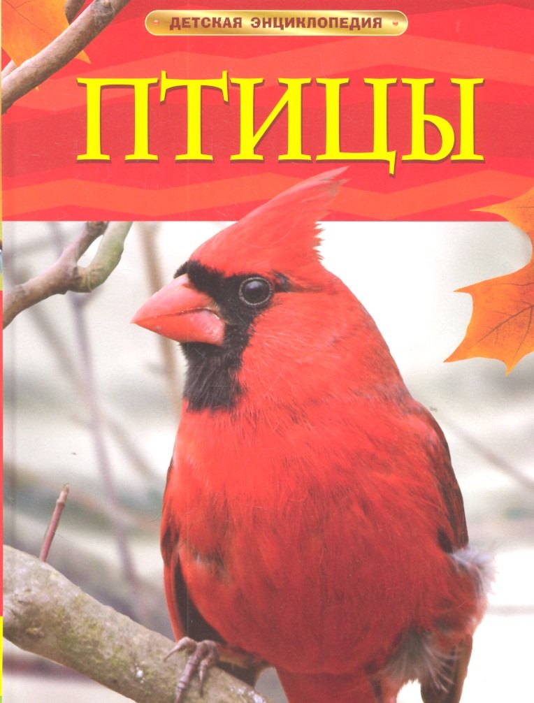 Догерти Джиллиан: Птицы.