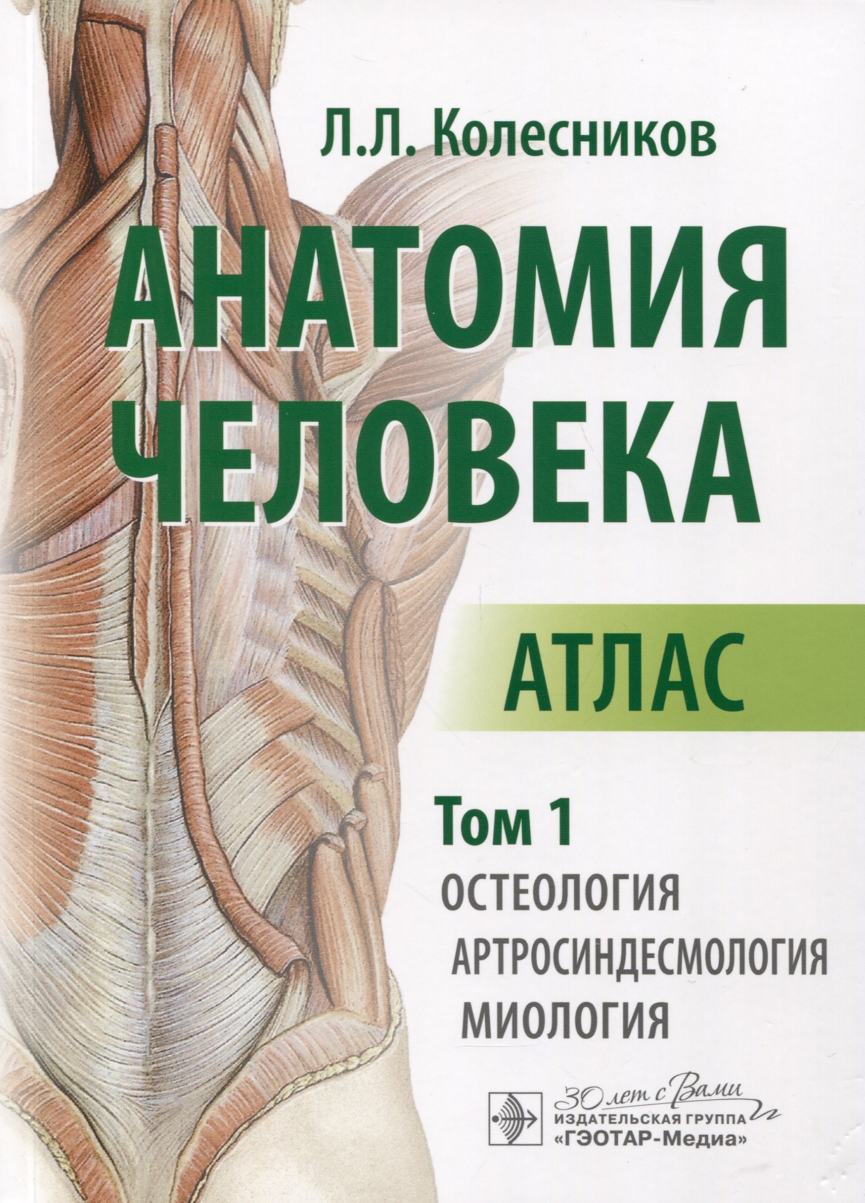 Колесников Лев Львович: Анатомия человека. Атлас. В 3 томах. Том 1. Остеология, артросиндесмология, миология