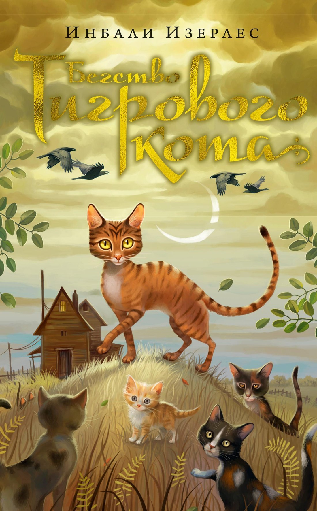 Изерлес Инбали: Бегство Тигрового кота. Книга 2