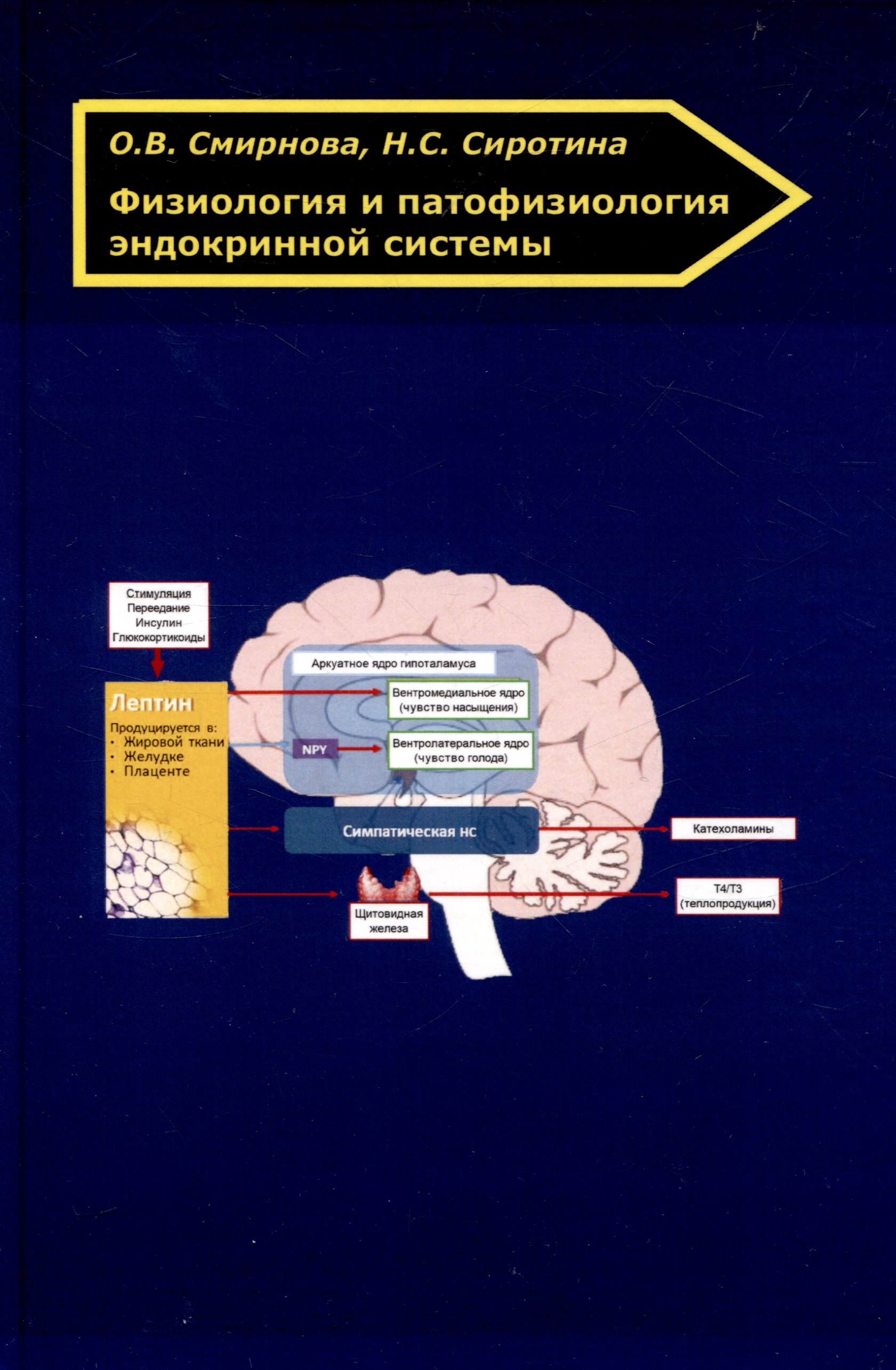 

Физиология и патофизиология эндокринной системы