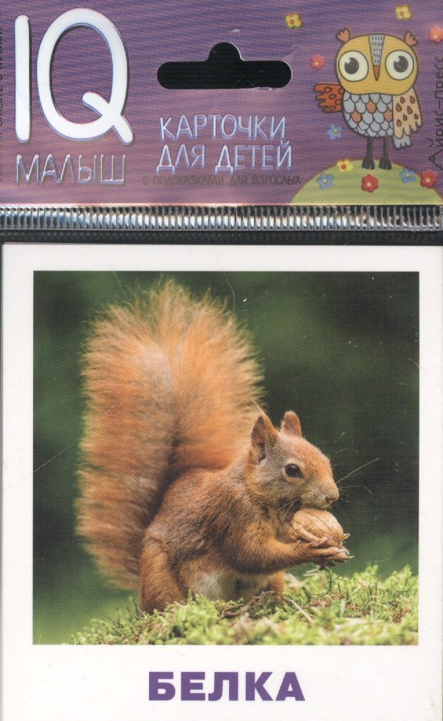 Умный малыш Кто живёт в лесу Набор карточек для детей 119₽