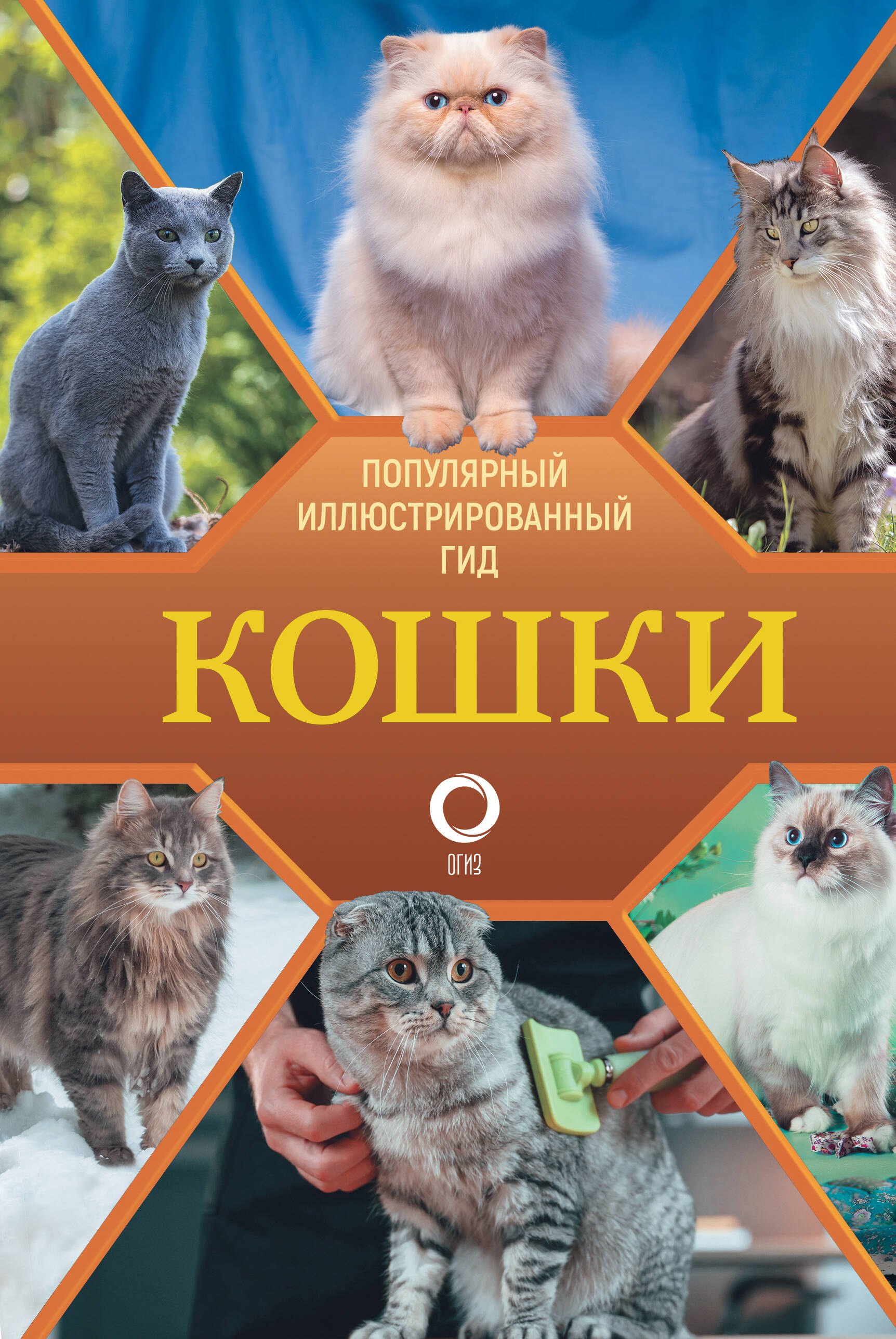 

Кошки