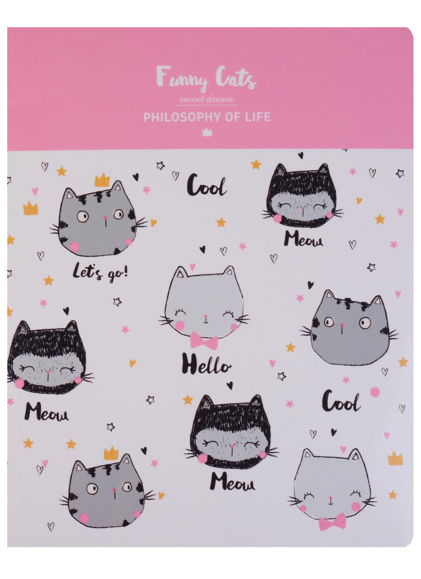 

Тетрадь в клетку InFolio, Funny cats, 48 листов