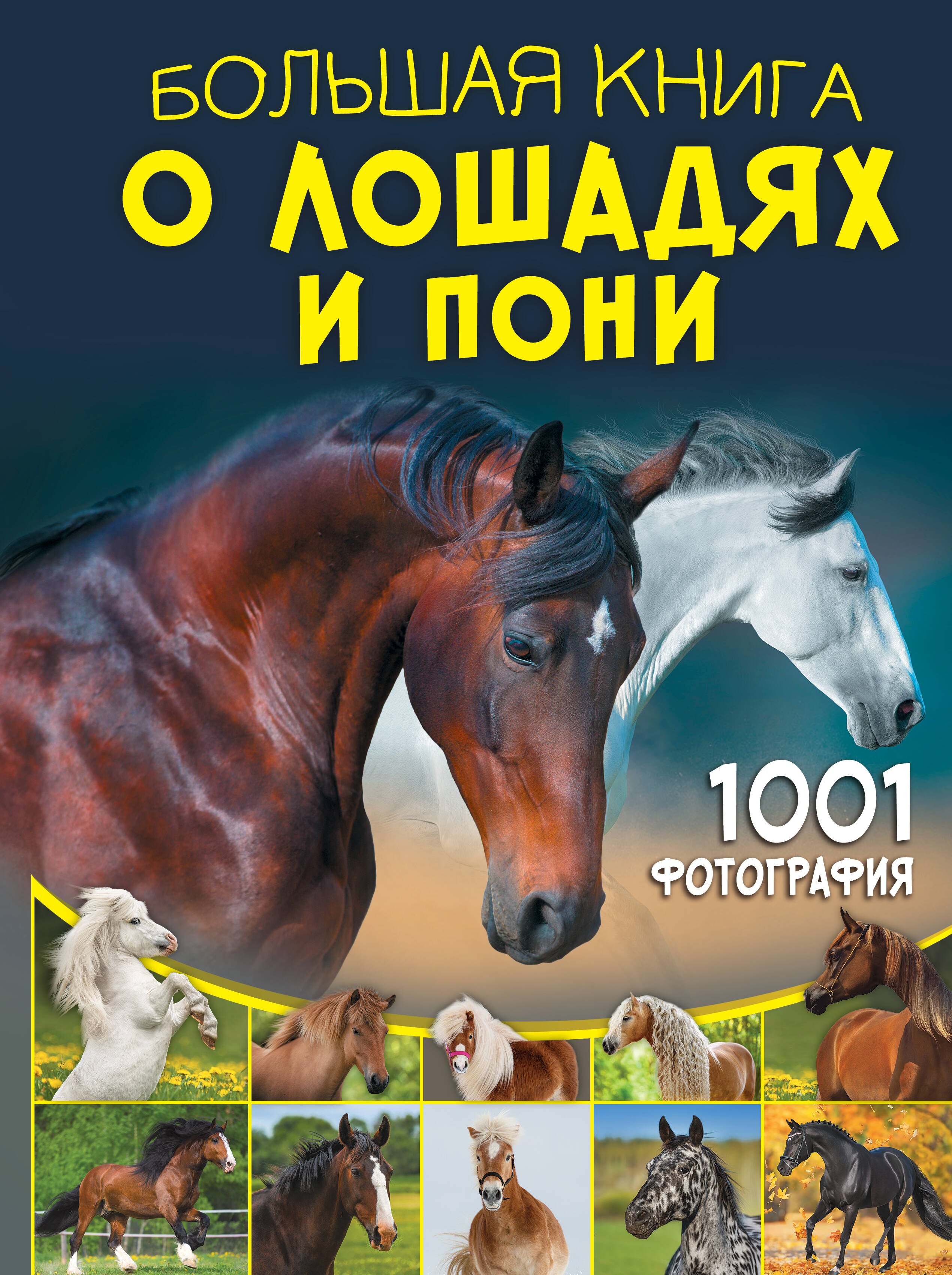 

Большая книга о лошадях и пони. 1001 фотография