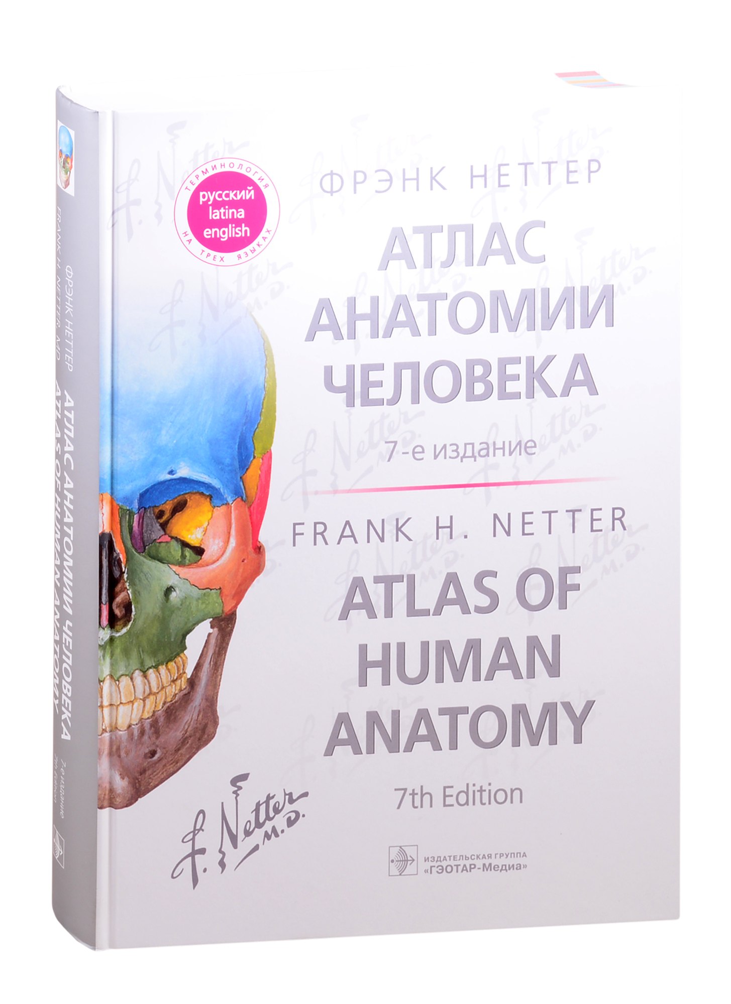 

Атлас анатомии человека: терминология на русском, латинском и английском языках