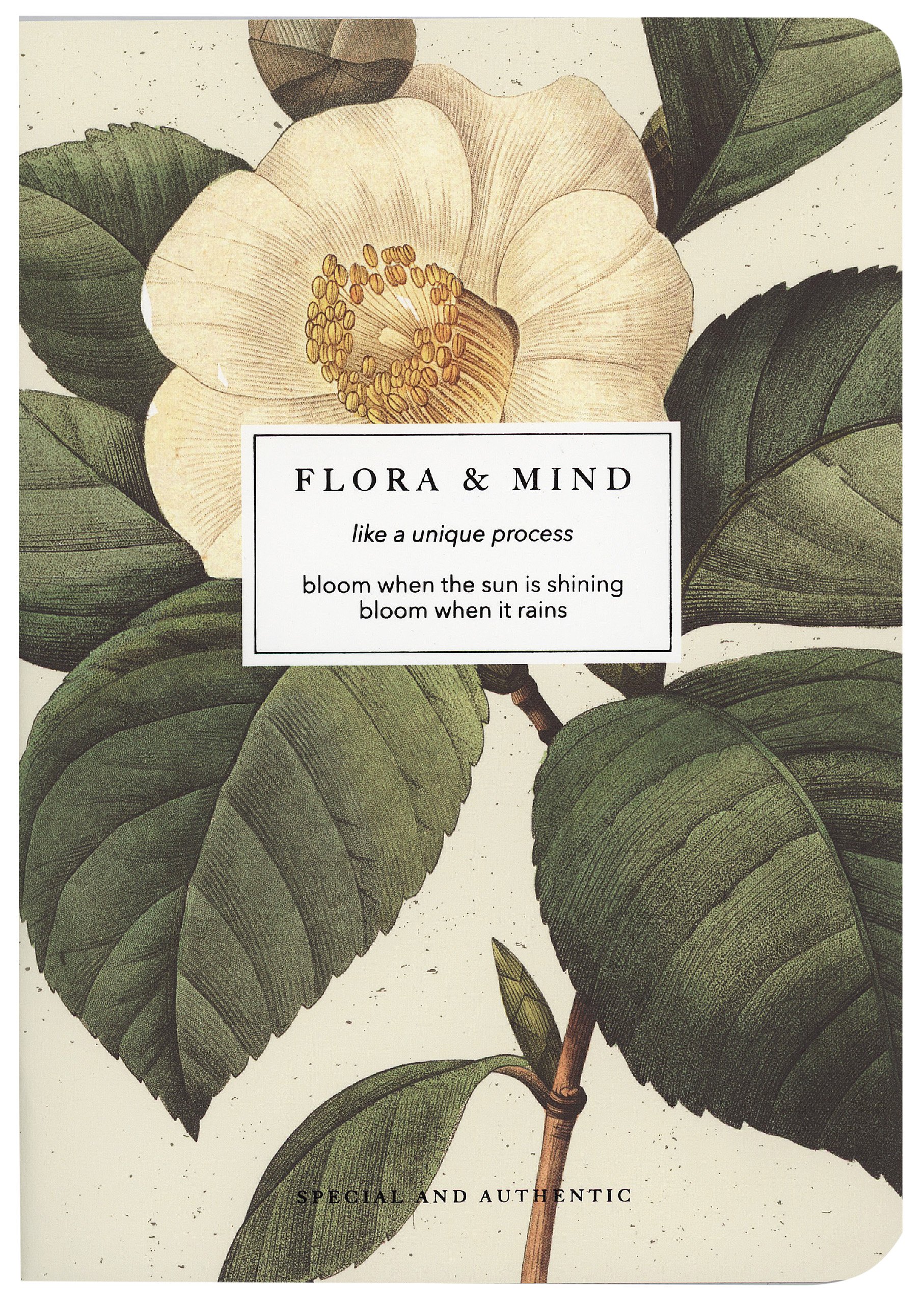 

Тетрадь в клетку Be Smart, "Flora. Камелия", 40 листов
