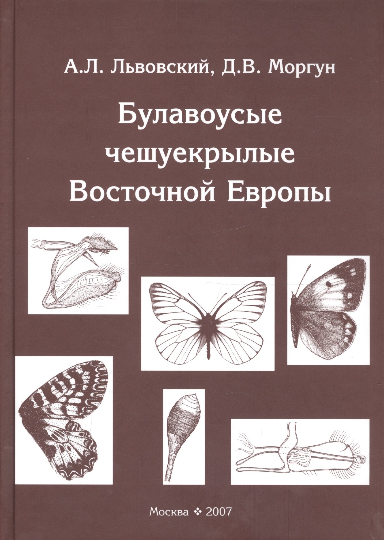 

Булавоусые чешуекрылые Восточной Европы