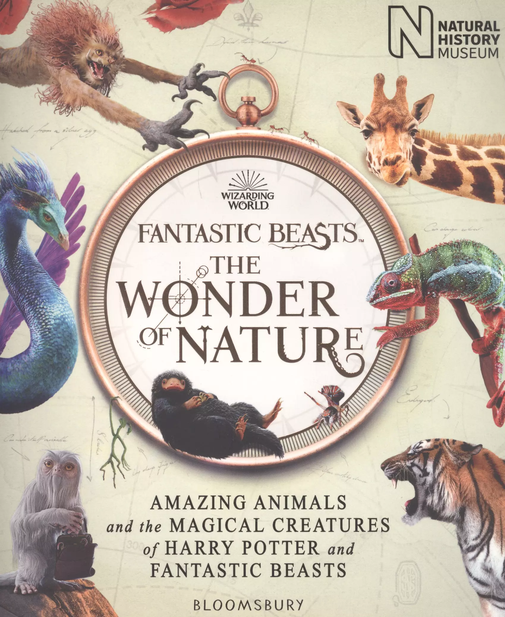 Fantastic Beasts The Wonder of Nature Amazing Animals and the Magical Creatures of Harry Potter and Fantastic Beasts 1747₽