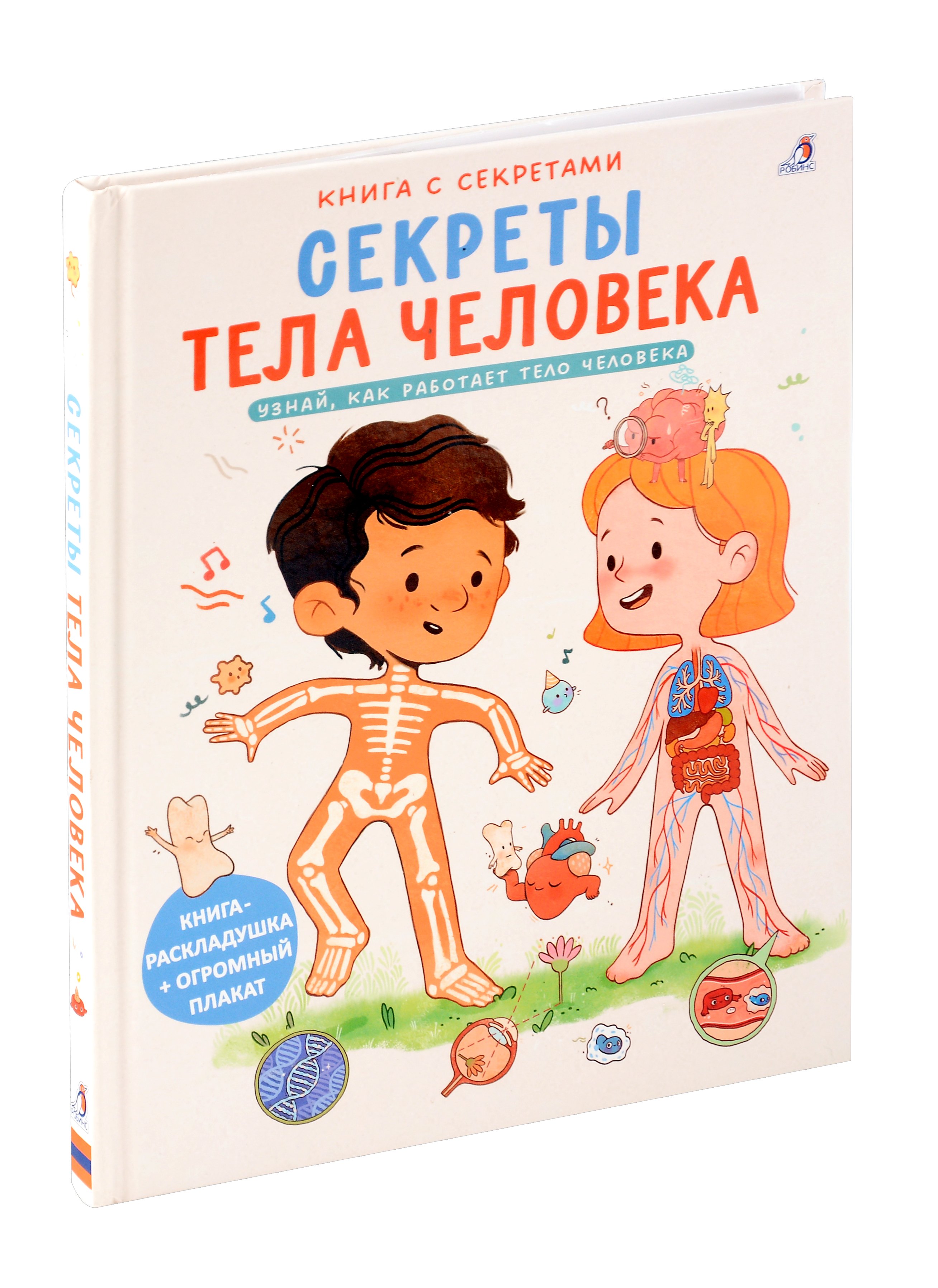 

Книга с секретами. Секреты тела человека