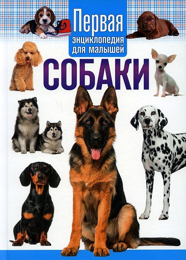 

Собаки. Первая энциклопедия для малышей