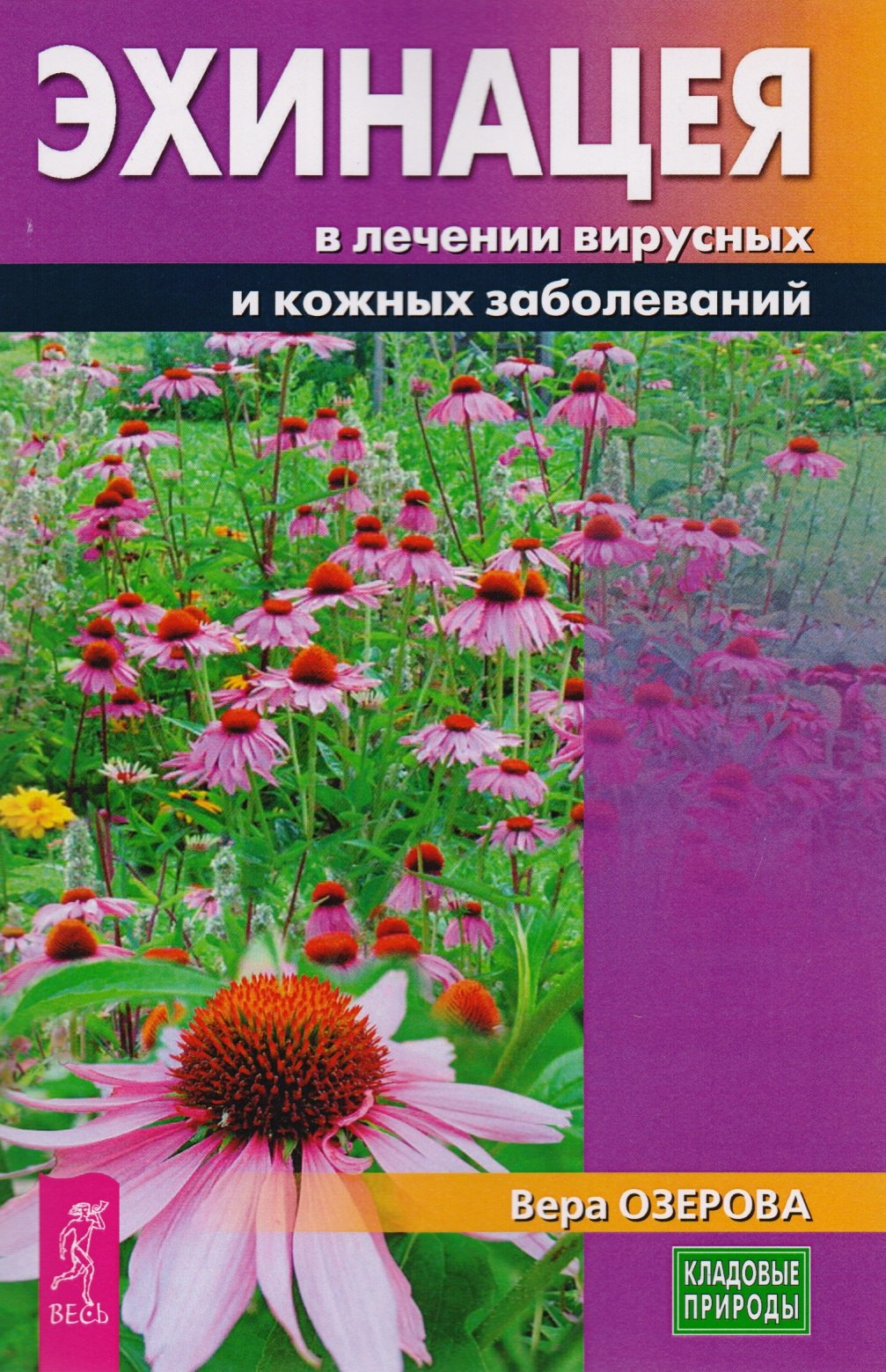 Озерова Вера: Эхинацея в лечении вирусных и кожных заболеваний (3228)
