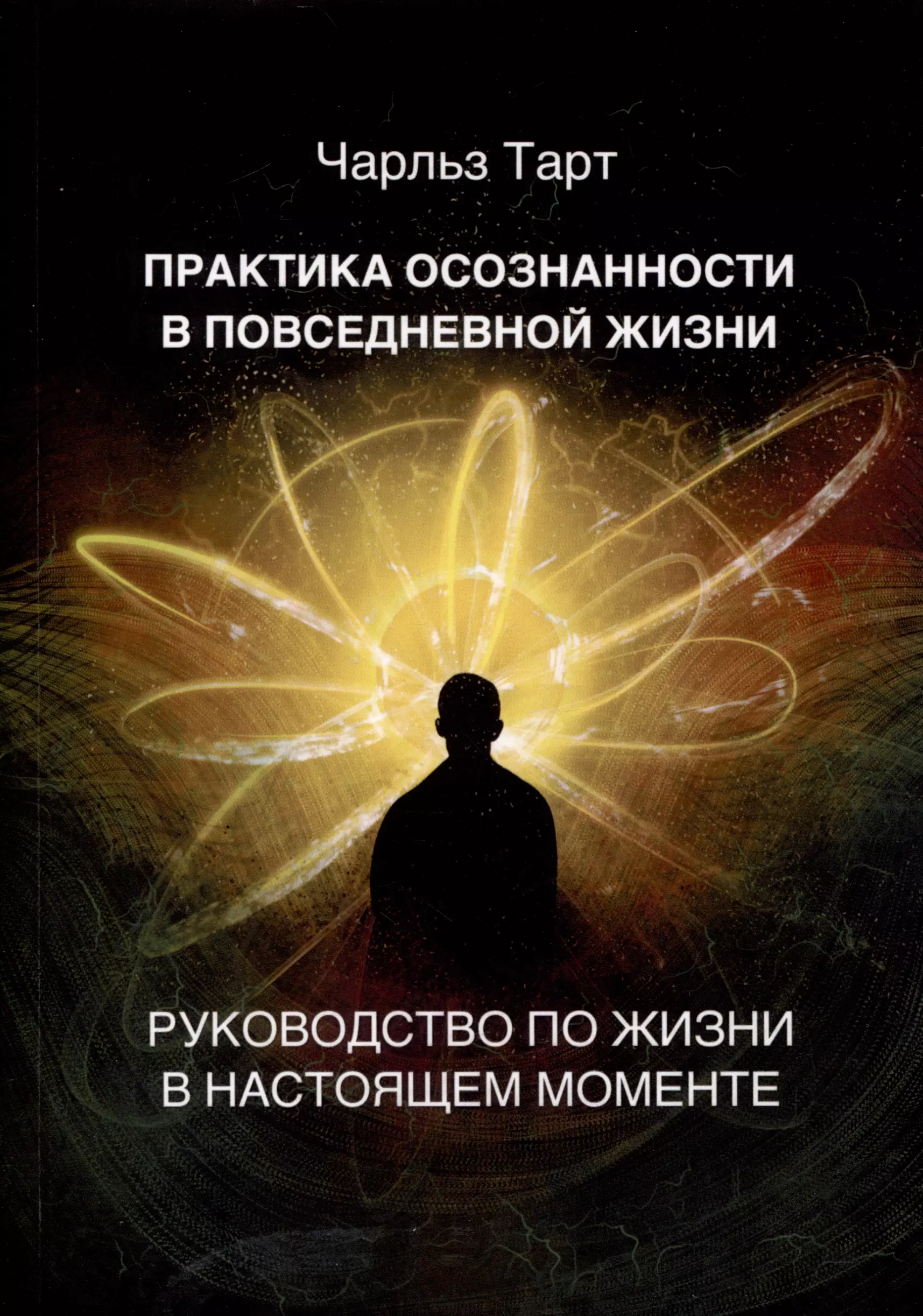 Практика осознанности в повседневной жизни. Руководство по жизни в настоящем моменте