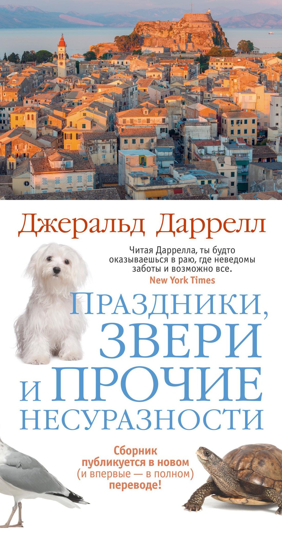 

Праздники, звери и прочие несуразности