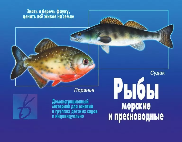 Рыбы. Морские и пресноводные. Демонстрационный материал для занятий в группах детских садов и индивидуально