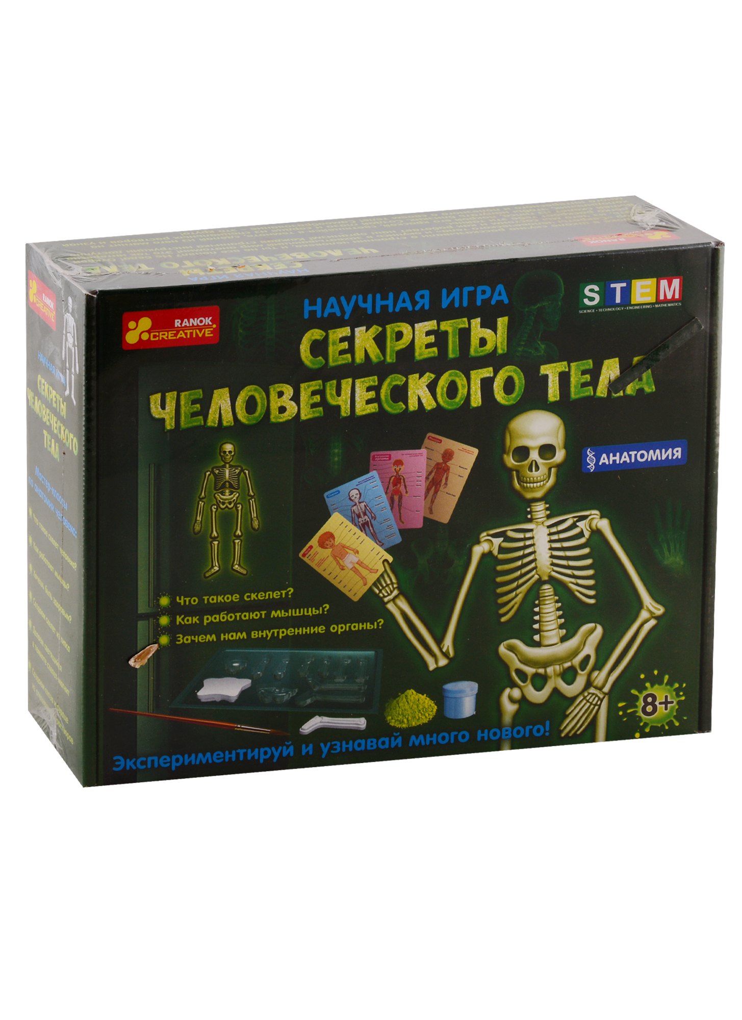 

Научная игра - Секреты человеческого тела