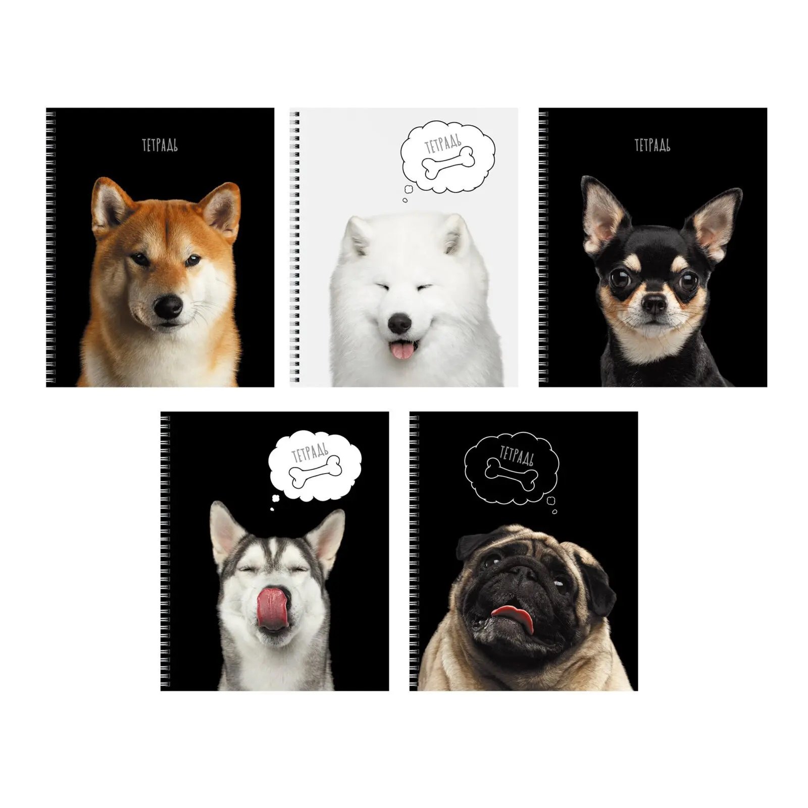 

Тетрадь в клетку Listoff, Selfie dog, 48 листов, в ассортименте