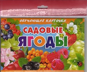 

Карточки (европодвес). Садовые ягоды