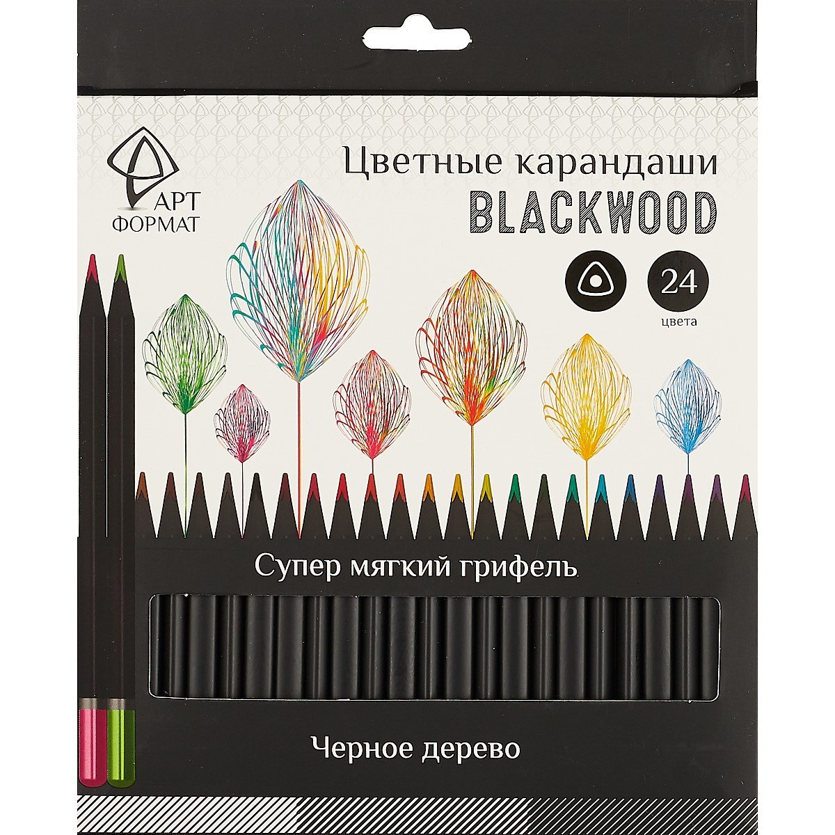 

Карандаши цветные Арт Формат, Blackwood, 24 цвета