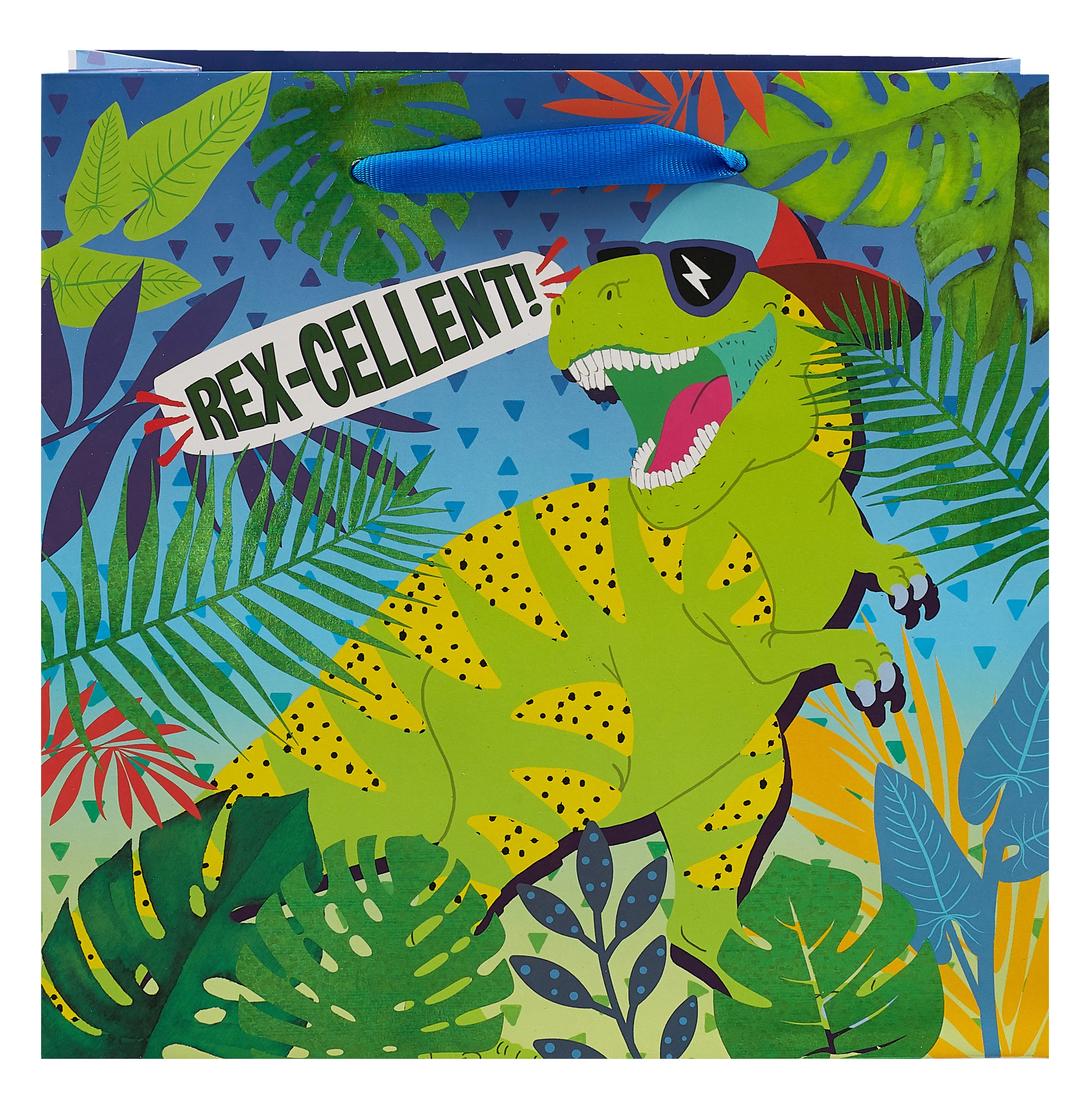 

Пакет А5 23*18*10 "Rex-cellent!" дет., бум.мат.ламинат