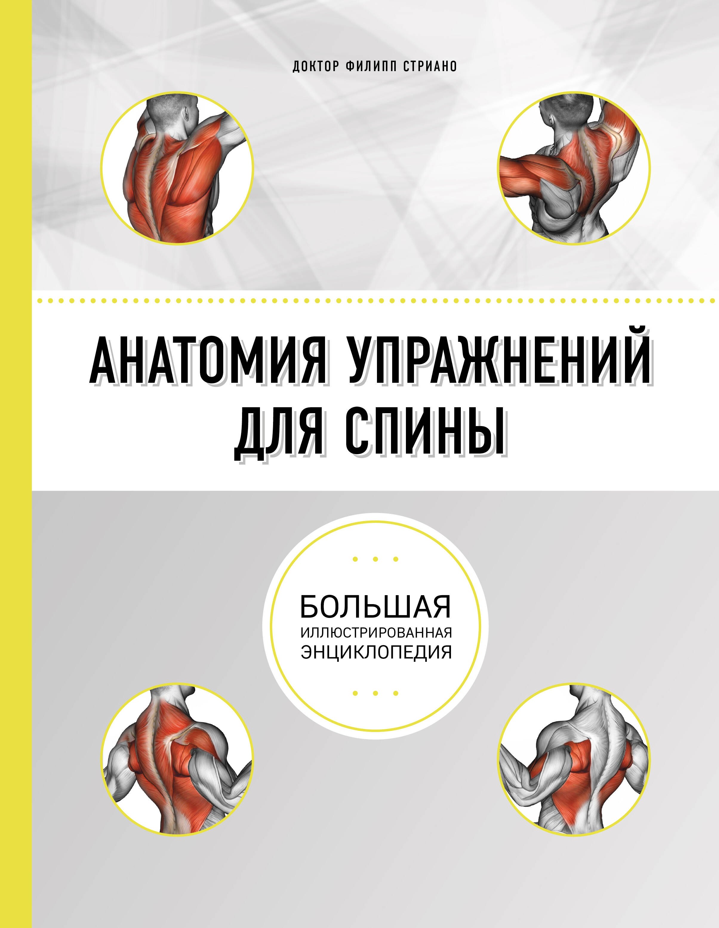 

Анатомия упражнений для спины (2-е изд.)