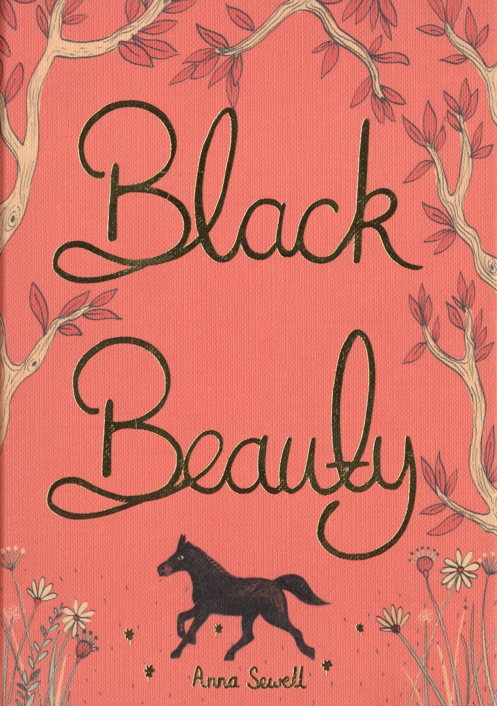 

Black Beauty