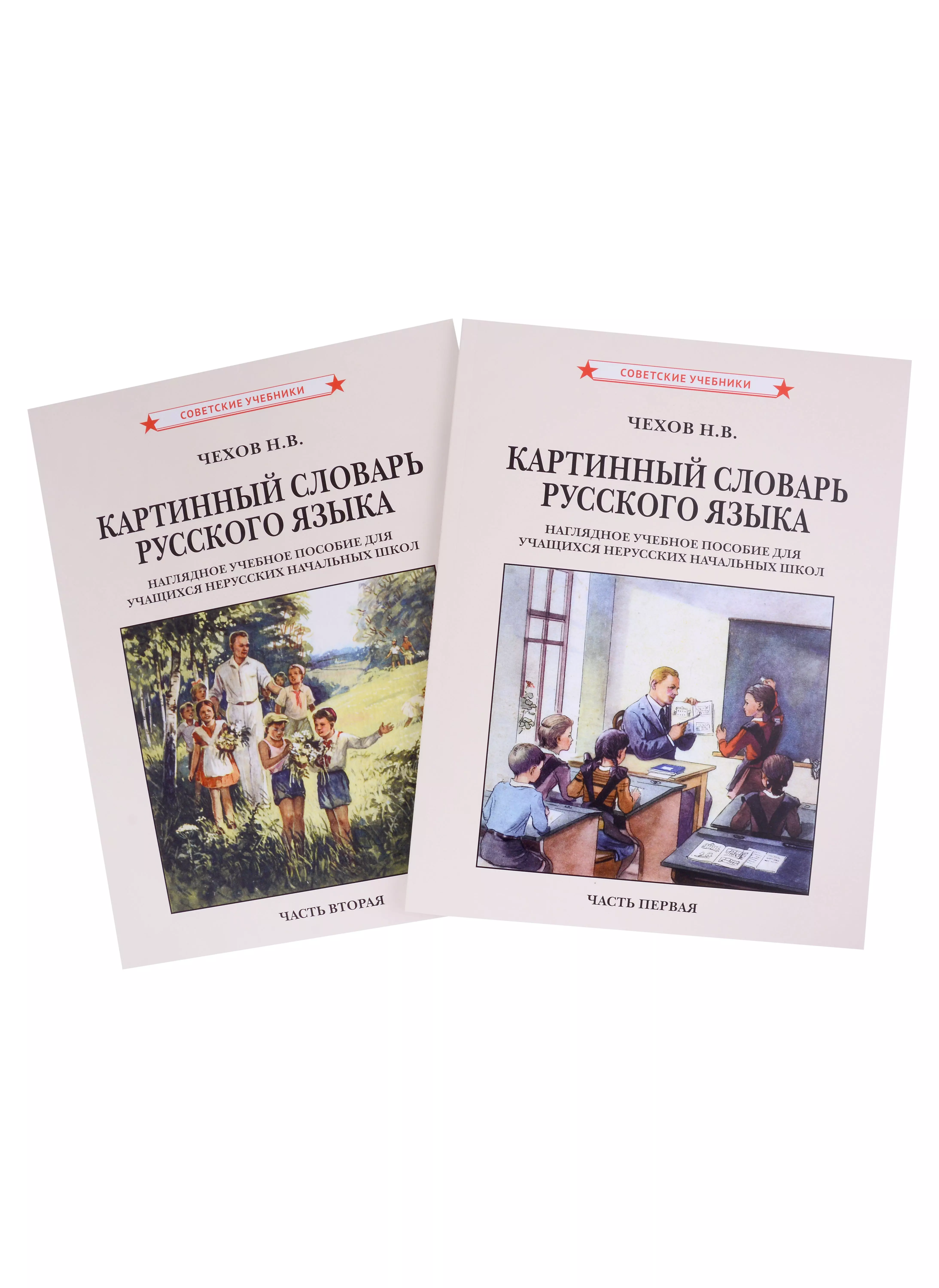 Картинный словарь русского языка. Комплект из 2 книг