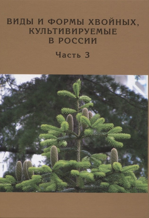 

Виды и формы хвойных, культивируемые в России. Часть 3.