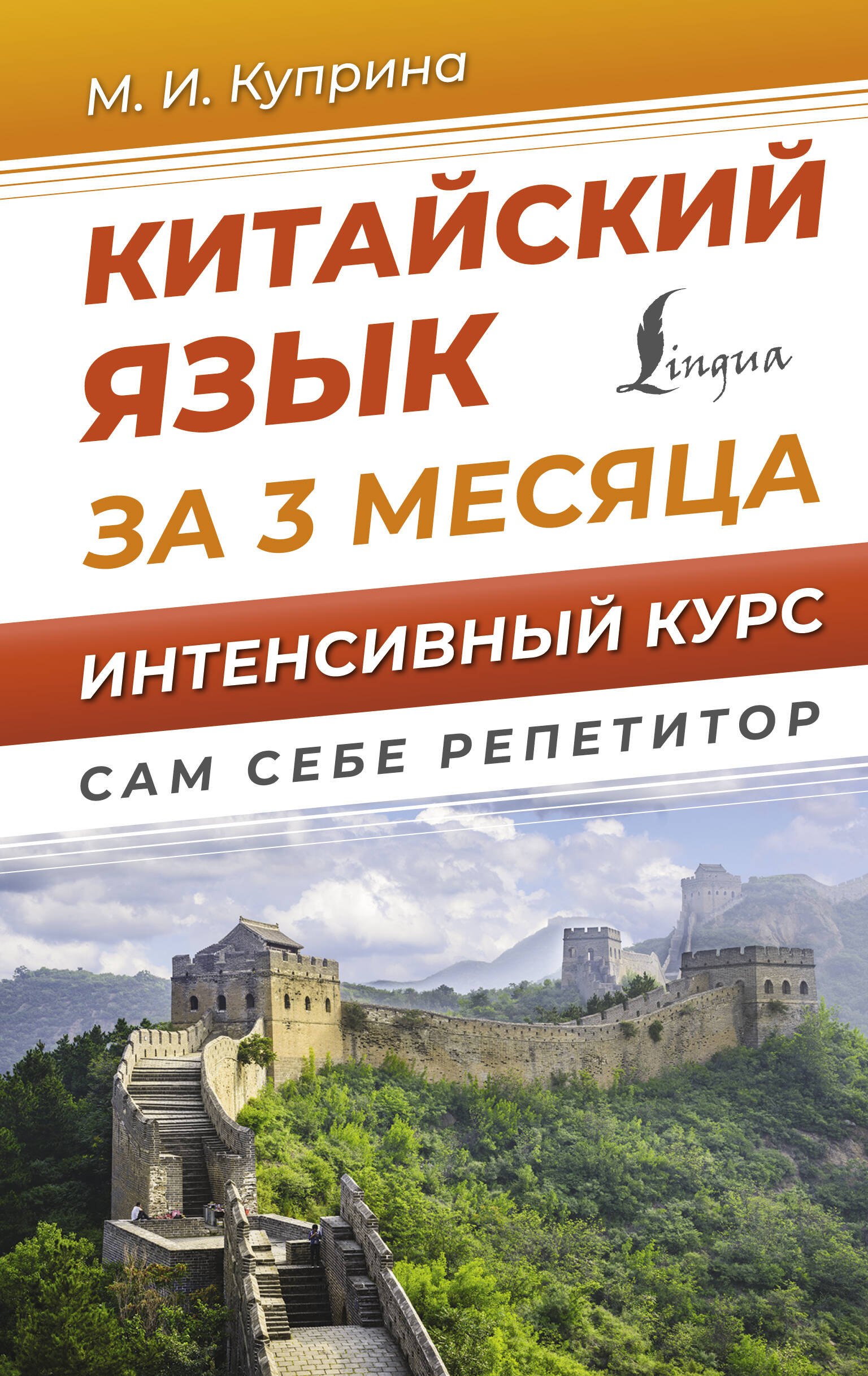 

Китайский язык за 3 месяца. Интенсивный курс