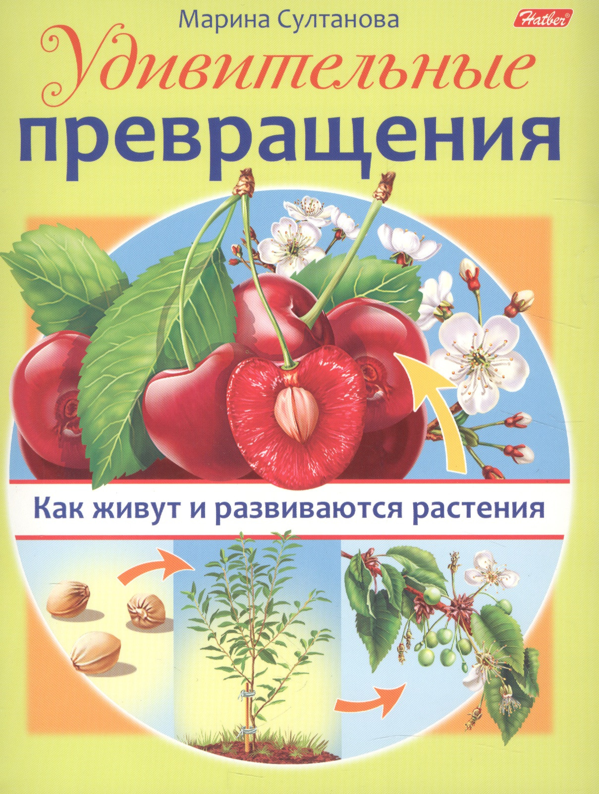 

Удивительные превращения. Как живут и развиваются растения