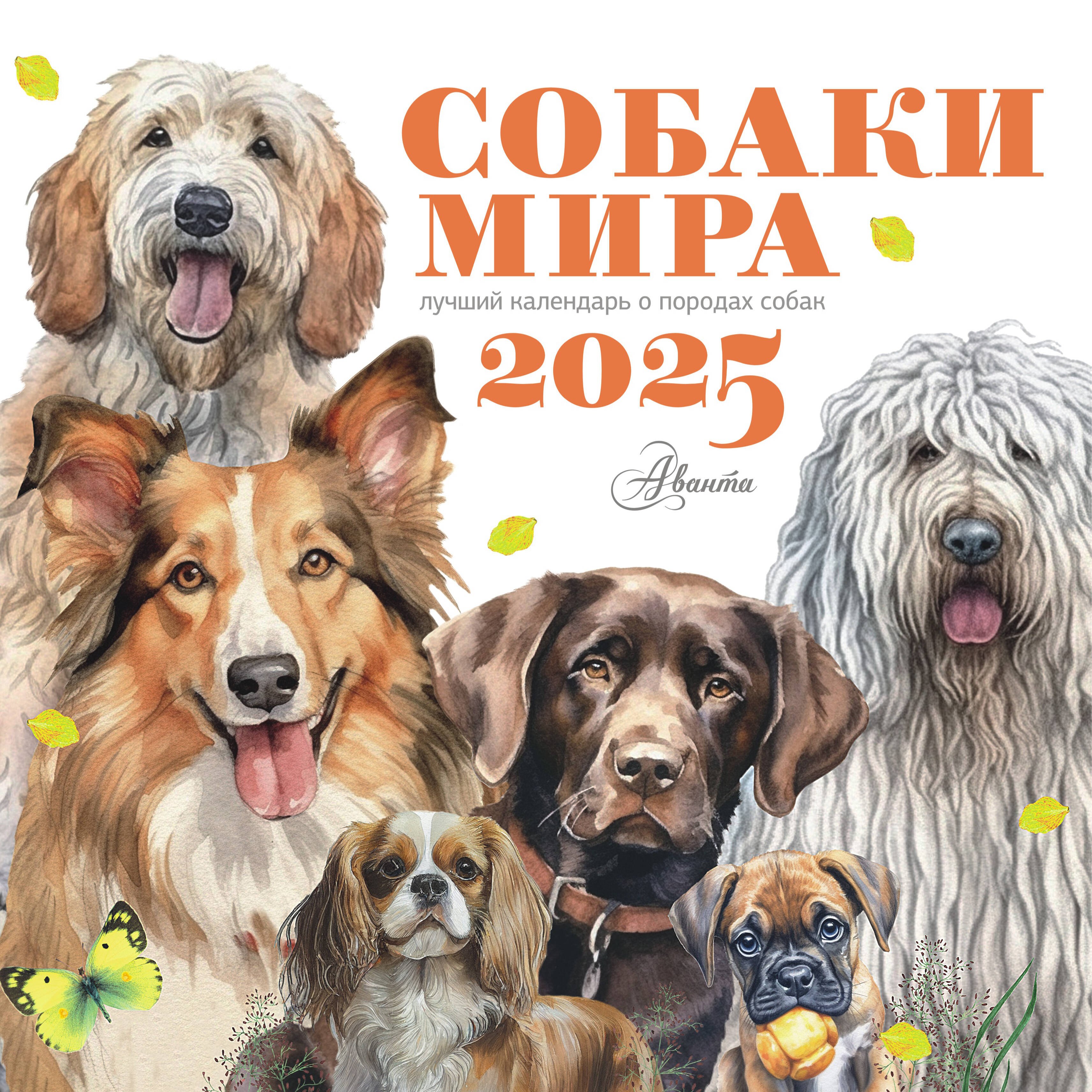 

Календарь 2025г 290*290 "Собаки мира" настенный, на скрепке