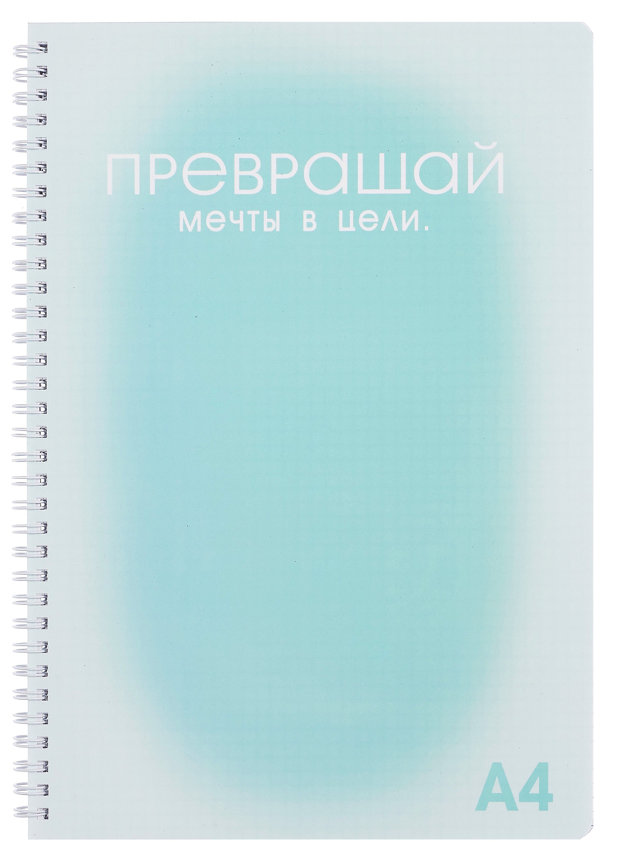 

Тетрадь А4 100л кл. "Мечты и цели" пласт.обложка, евроспираль