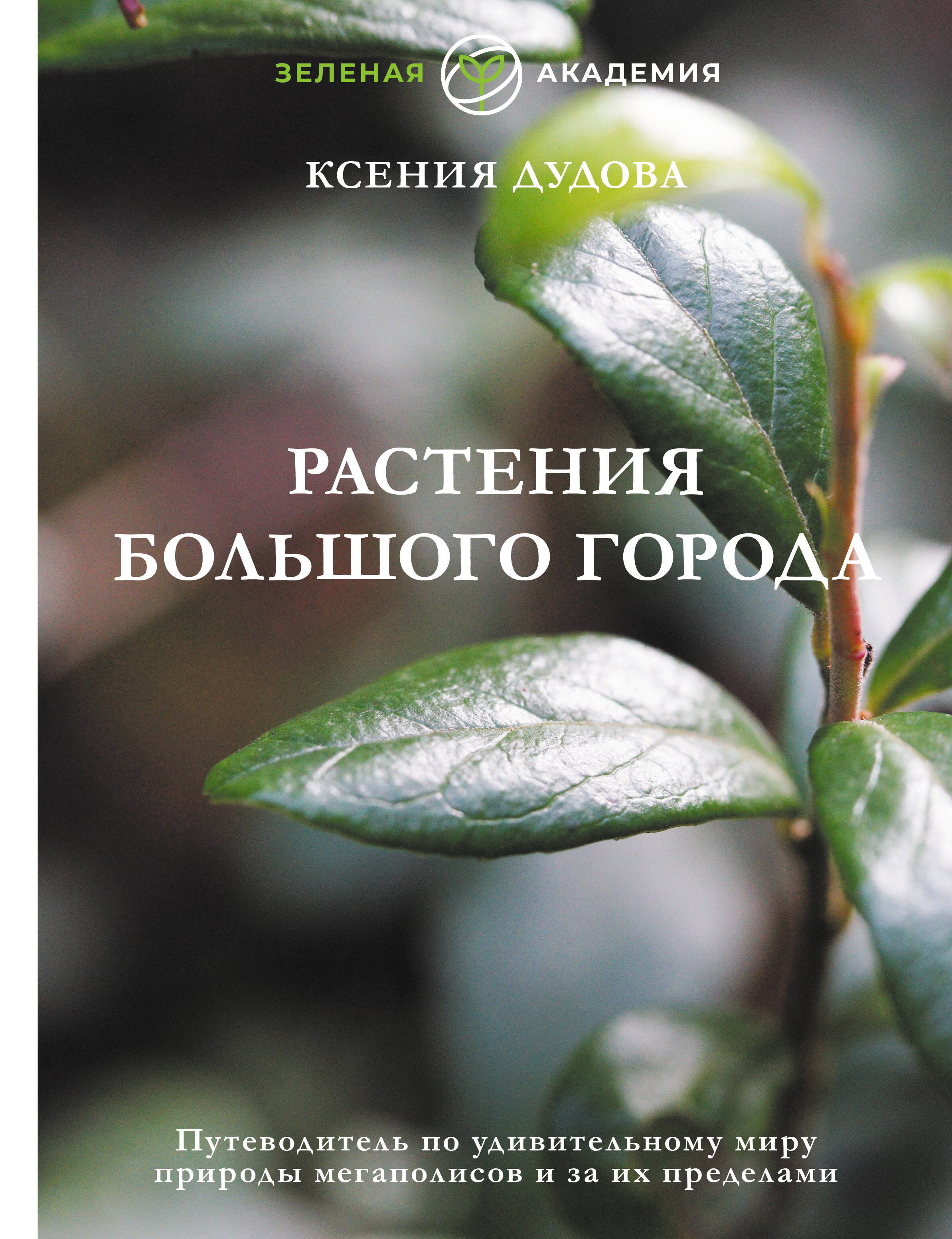 Дудова Ксения Вячеславовна: Джунгли большого города. Ботаника для неофитов