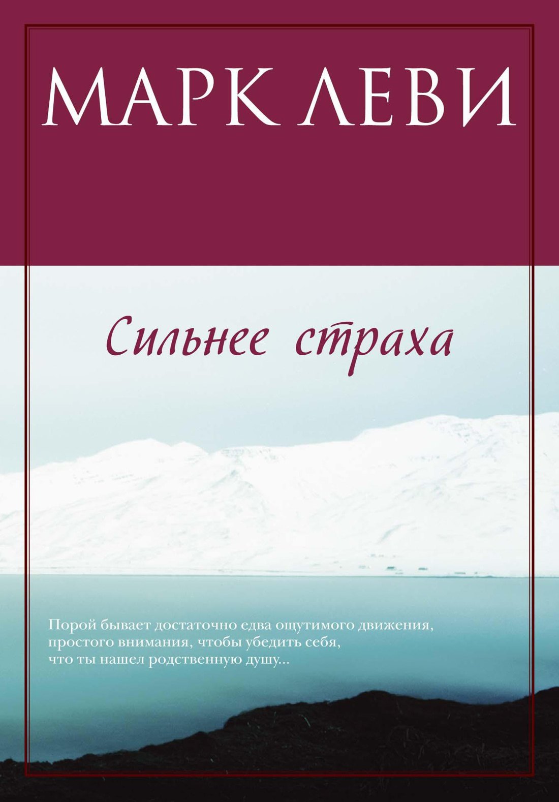 Сильнее страха 183₽