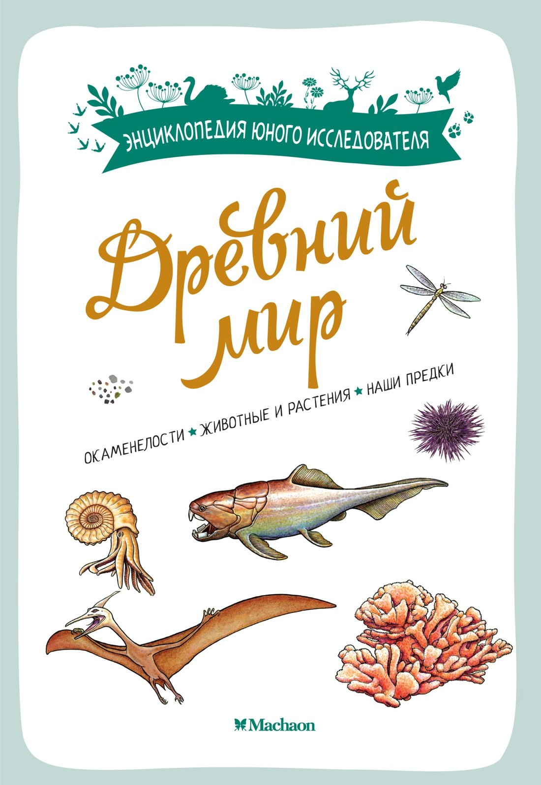 

Древний мир. Окаменелости. Животные и растения. Наши предки