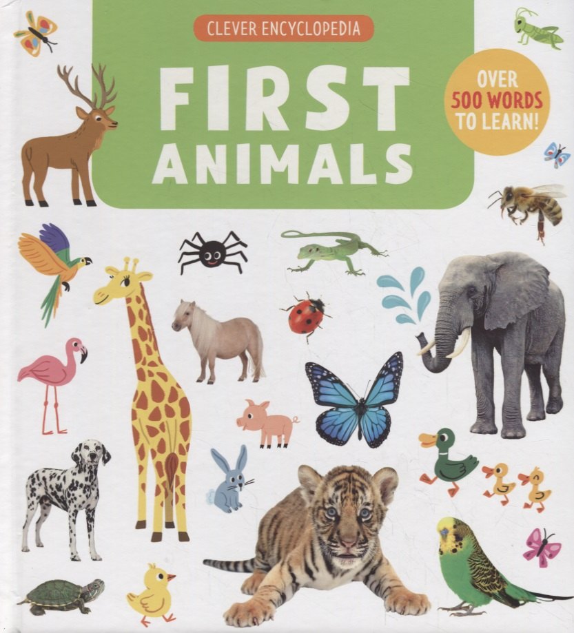 First Animals Clever Encyclopedia Over 500 Words To Learn 849₽