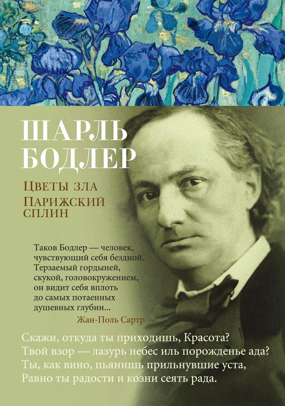 

Цветы зла. Парижский сплин