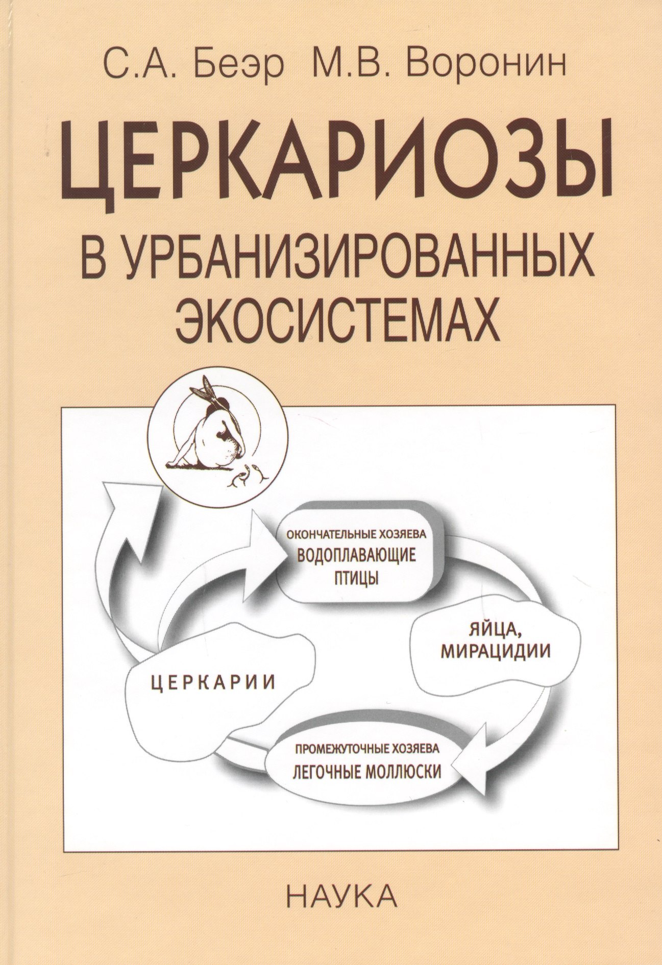 

Церкариозы в урбанизированных экосистемах