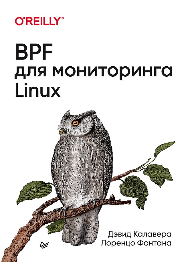 

BPF для мониторинга Linux