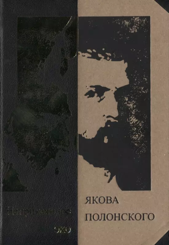 Неприкаянное эхо Якова Полонского: Яков Полонский. Стихотворения  Александр Грушкин. О Полонском