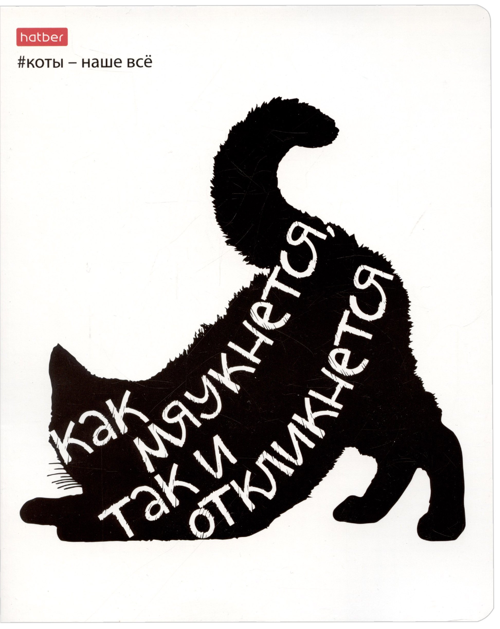 

Тетрадь в клетку Hatber, "Коты - наше всё", 48 листов, в ассортименте