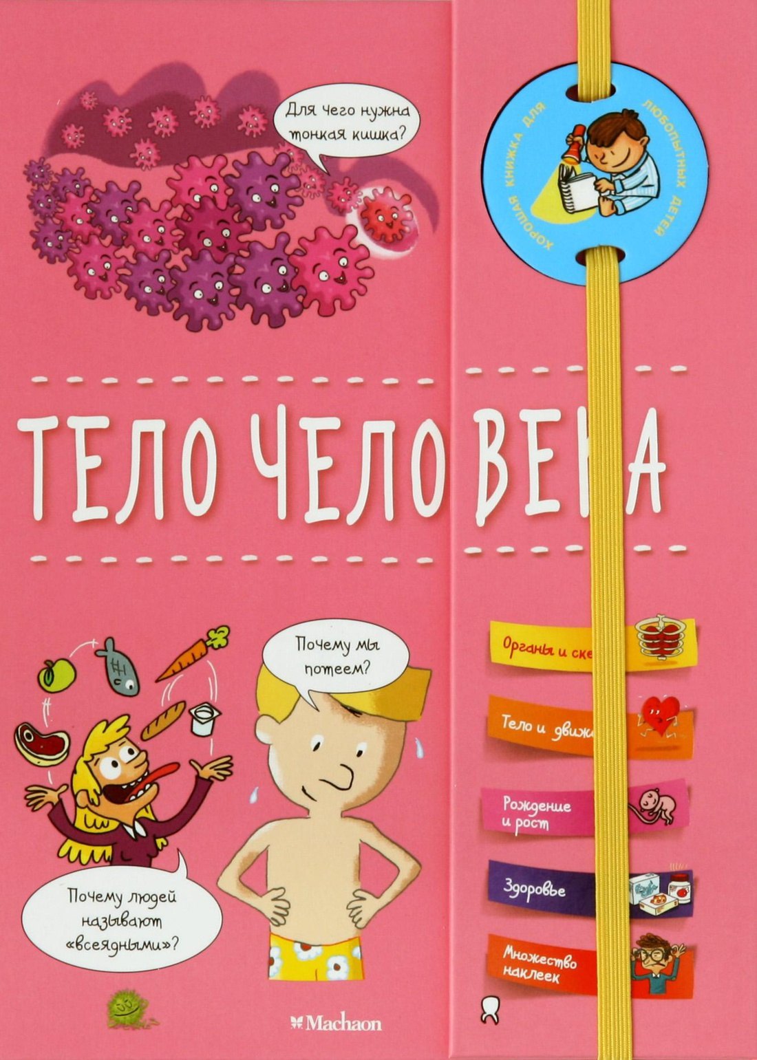 

Тело человека