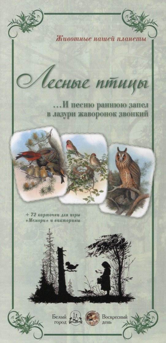 

Животный мир «Лесные птицы. …И песню раннюю запел в лазури жаворонок звонкий»