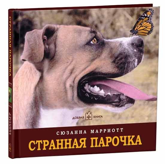 

Странная парочка